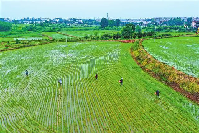 明确“十不准”“十个严禁” 我省发布耕地保护监督新规