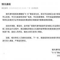 广西德天瀑布登高观瀑魔毯事故相关责任人已被依法控制